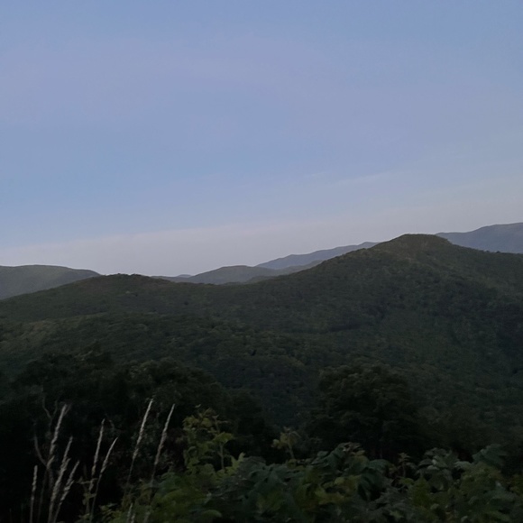 Meet your Posher, Kennedi - Picture 1 of 1